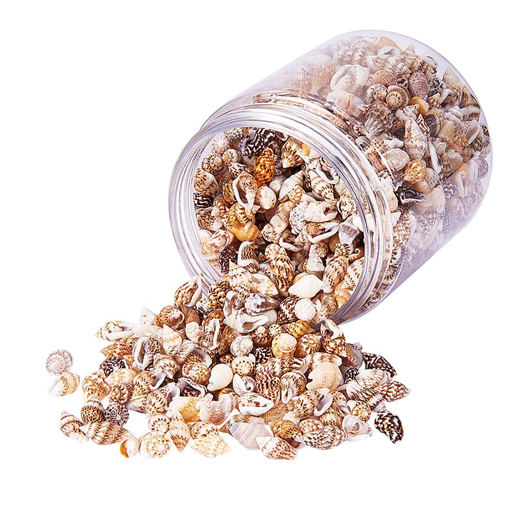Natural Seashells Box Vibrant  - огляд і ціна Jewelry Making Event